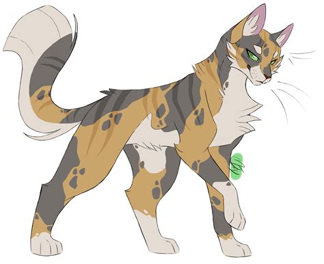 cat drawing warrior cats|warrior cats drawings female.